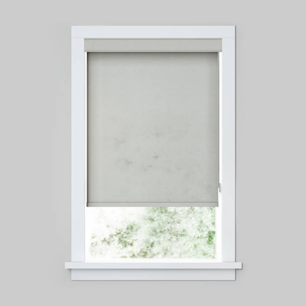 LEVOLOR Custom Cordloop Light Filtering Roller Shades, Designer